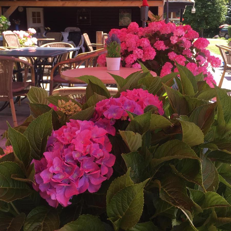 Boerderijcamping Plantlust Veere Ngoại thất bức ảnh