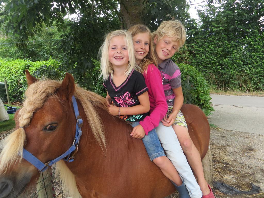 Boerderijcamping Plantlust Veere Phòng bức ảnh