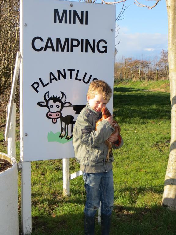 Boerderijcamping Plantlust Veere Ngoại thất bức ảnh